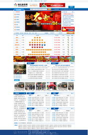 武汉网站建设与软件开发服务 | 武汉市陆叁玖科技